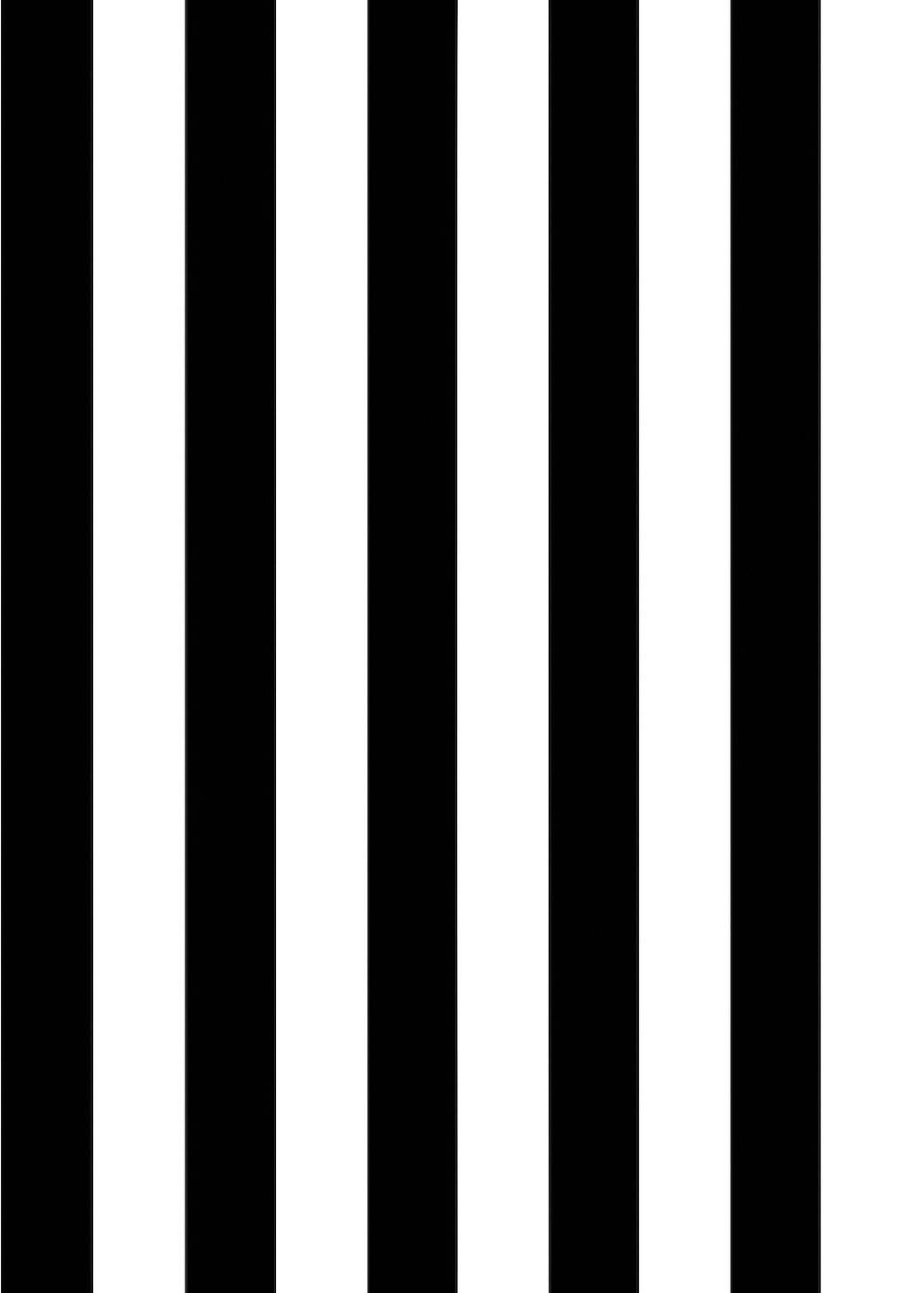 ?izgili 5 m? katalog